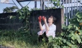 娱乐圈内幕爆料潜规则电影,揭秘电影幕后黑幕